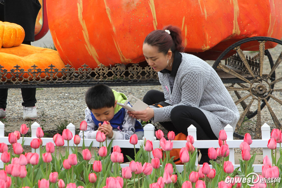 【沣东专题 魅力新城·巍巍沣东 显示图在稿件最下方】郁金香和油菜花都开了 沣东农博园开启赏花季 【沣东专题 魅力新城·巍巍沣东 显示图在稿件最下方】郁金香和油菜花都开了 沣东农博园开启赏花季