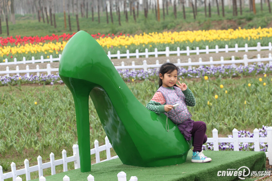 【沣东专题 魅力新城·巍巍沣东 显示图在稿件最下方】郁金香和油菜花都开了 沣东农博园开启赏花季 【沣东专题 魅力新城·巍巍沣东 显示图在稿件最下方】郁金香和油菜花都开了 沣东农博园开启赏花季