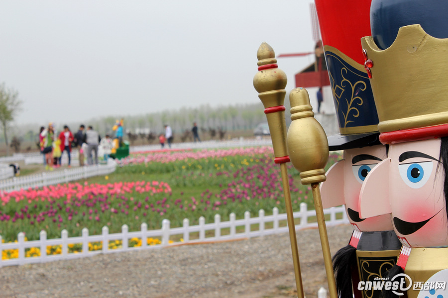 【沣东专题 魅力新城·巍巍沣东 显示图在稿件最下方】郁金香和油菜花都开了 沣东农博园开启赏花季 【沣东专题 魅力新城·巍巍沣东 显示图在稿件最下方】郁金香和油菜花都开了 沣东农博园开启赏花季