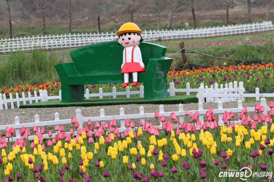 【沣东专题 魅力新城·巍巍沣东 显示图在稿件最下方】郁金香和油菜花都开了 沣东农博园开启赏花季 【沣东专题 魅力新城·巍巍沣东 显示图在稿件最下方】郁金香和油菜花都开了 沣东农博园开启赏花季