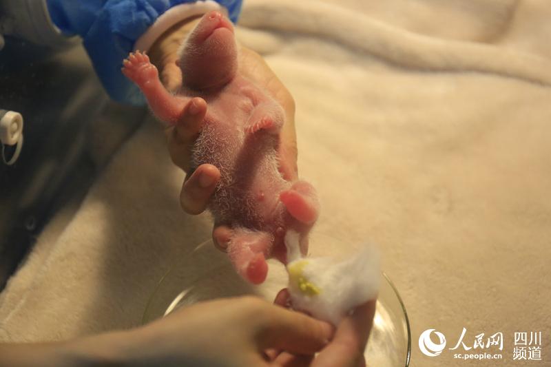 图片默认标题_fororder_16