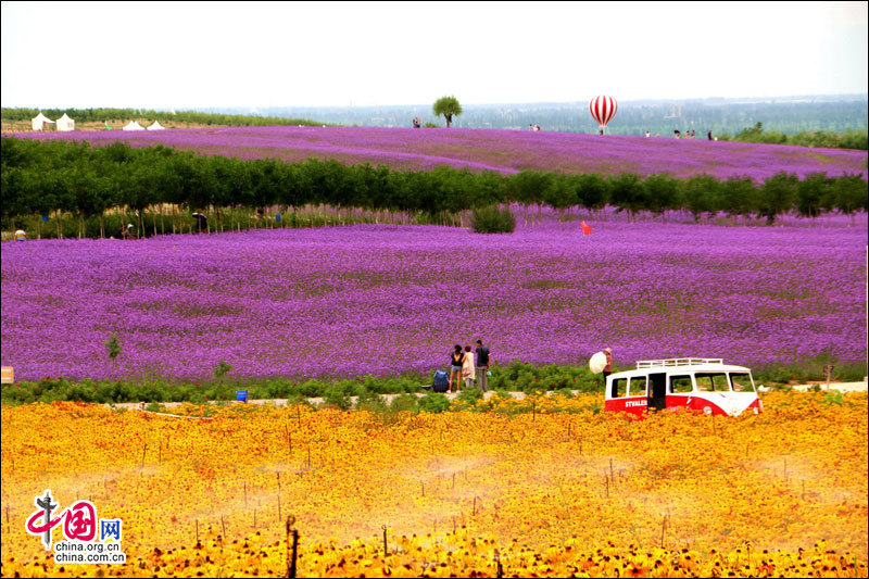 图片默认标题_fororder_23