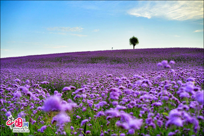 图片默认标题_fororder_22