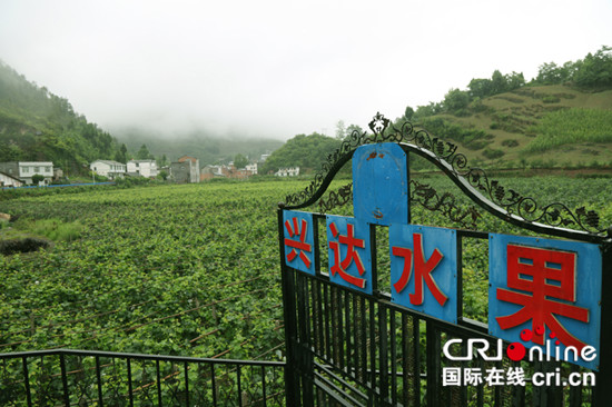 已过审【行游巴渝 标题摘要】重庆巫山水库村正在打造乡村旅游湿地景点