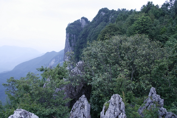 【行游巴渝 图文】跋山涉水 踏寻绿野仙踪