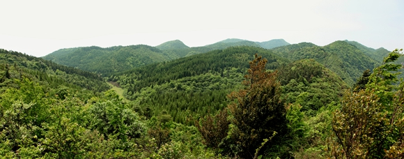 【行遊巴渝 圖文】跋山涉水 踏尋綠野仙蹤