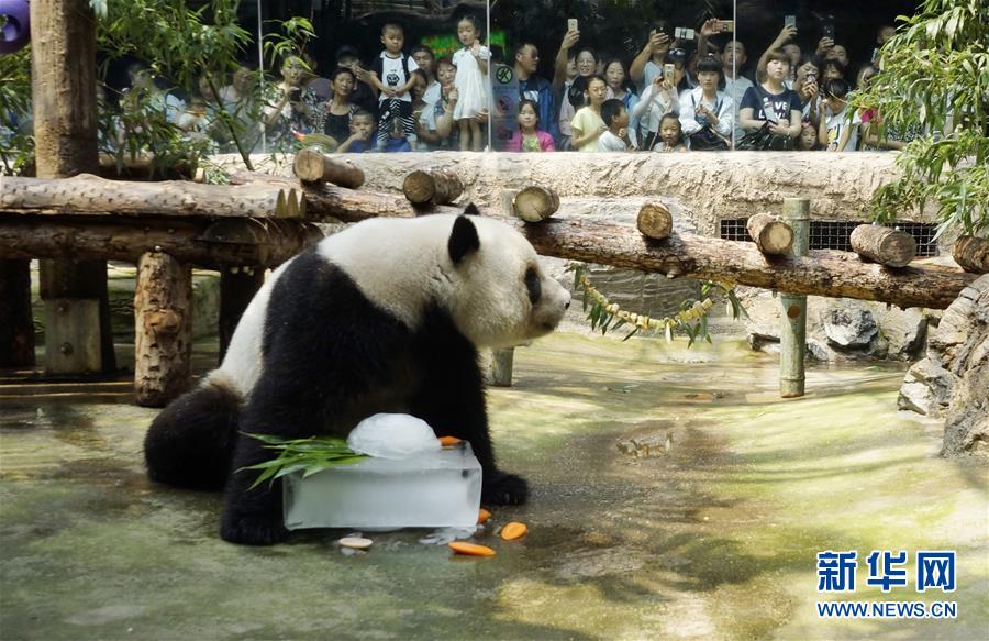 北京动物园：多种措施伴动物清凉过夏
