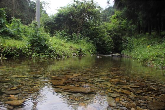 丰都:探访南天湖镇无人区秘境 显影世外奇景   南天湖镇隐于重庆丰都