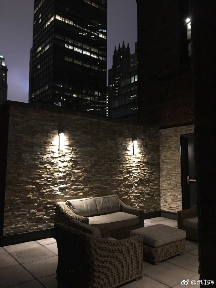 组图：伊能静背对纽约夜景自拍 托腮微笑心情大好