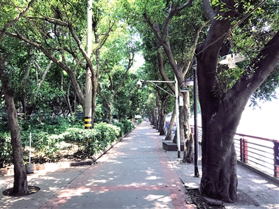 【社会民生】滨江公园不重建 市民可以放心去散步喝茶