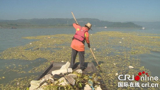 已过审【区县联动】【石柱】农业环保头号天敌水白菜现于石柱水域