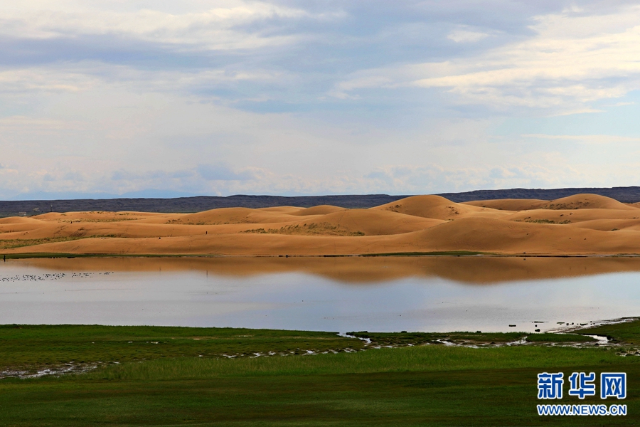 图片默认标题_fororder_7