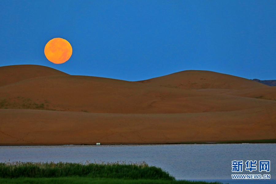 图片默认标题_fororder_13