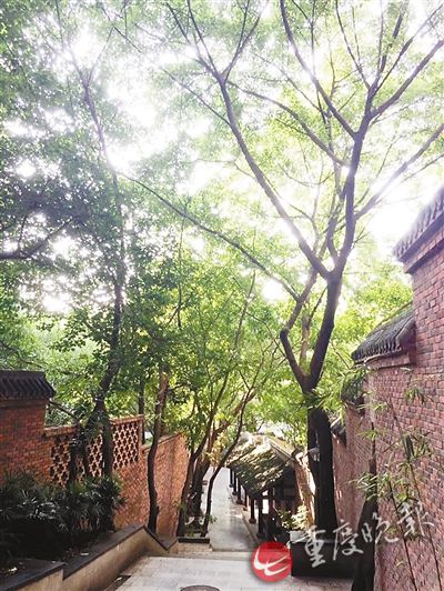 【渝情渝景】14條特色步道 領略渝中前世今生