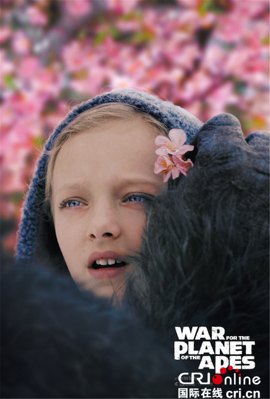 猩球崛起_fororder_《猩球崛起3》海報2