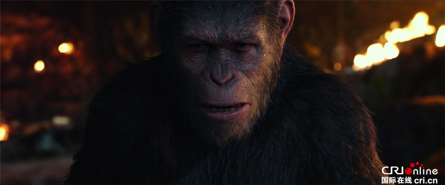 猩球崛起_fororder_《猩球崛起3》劇照2