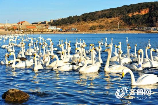 山东最美古村落：这些地方你都去过吗？_fororder_8