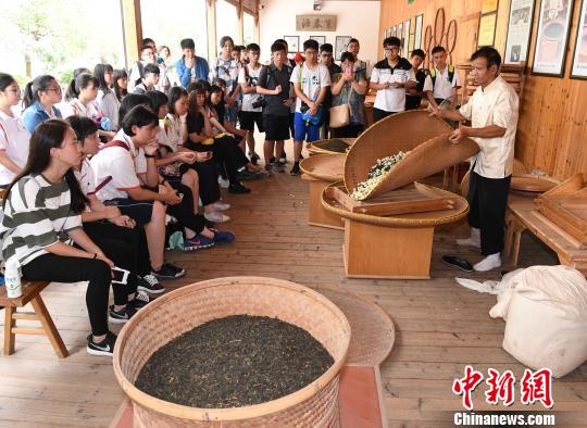 台灣青年體驗福州茉莉花茶文化“激蕩火花”