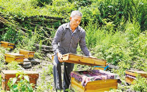 【区县联动】【黔江】养蜂脱贫后向25户贫困户赠送蜜蜂