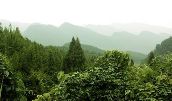 【行游巴渝 标题摘要】有张《重庆高冷地图》已经发布 一起去清凉一夏 【行游巴渝 标题摘要】有张《重庆高冷地图》已经发布 一起去清凉一夏