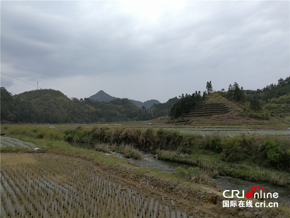 图片默认标题_fororder_政和县角坂村