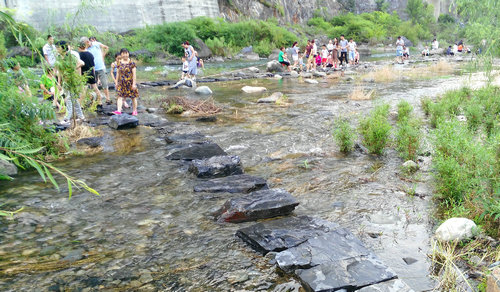 【渝情渝景 小圖】城口巴山湖國家濕地公園成避暑樂園