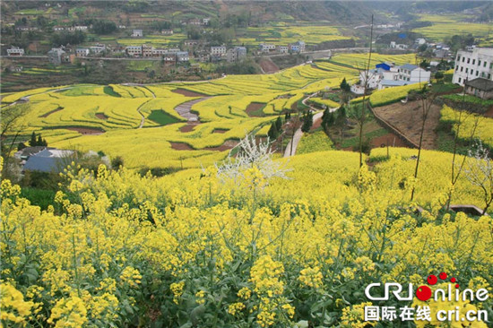 已过审【行游巴渝 图文】重庆巫山5个村被评为全国绿色村庄