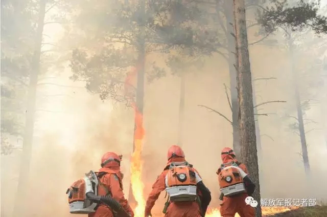记者亲历：跟随森林卫士向火而行