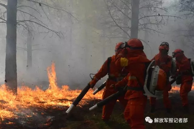记者亲历：跟随森林卫士向火而行