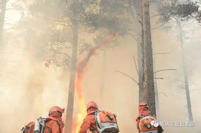 记者亲历：跟随森林卫士向火而行