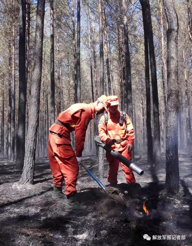记者亲历：跟随森林卫士向火而行
