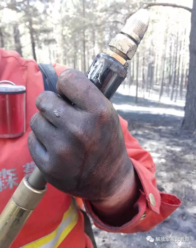 记者亲历：跟随森林卫士向火而行