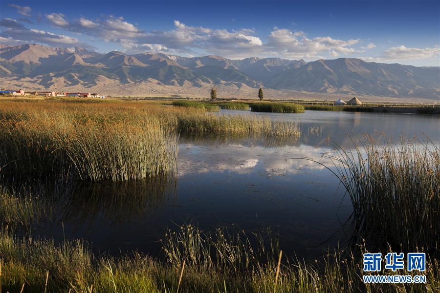 新疆哈密的高家湖湿地公园