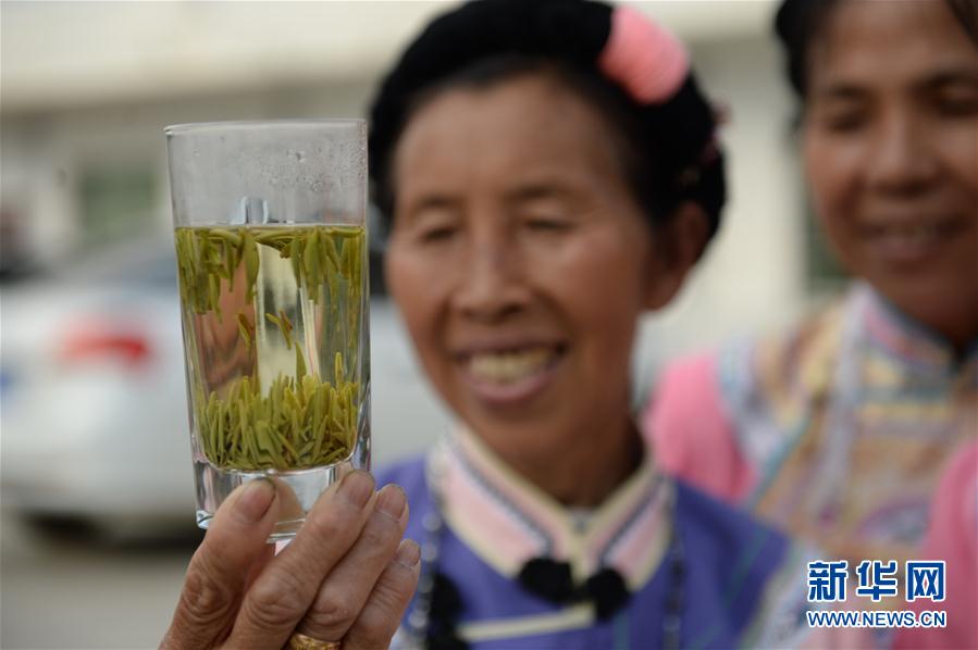 贵阳开阳：万亩“南贡河”富硒茶助农增收