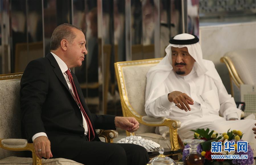 土耳其总统访问沙特 斡旋卡塔尔断交危机