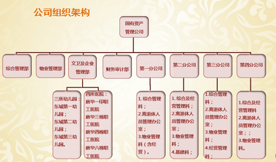 国有资产管理公司