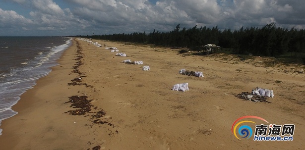 末尾有圖【瓊島動態】【即時快訊】海口後尾村海灘上有大量垃圾堆積 摘要:7月25日,記者來到了海南師範大學學生小文所説的海岸,眼前的場景讓人大吃一驚。 末尾有圖【瓊島動態】【即時快訊】海口後尾村海灘上有大量垃圾堆積 摘要:7月25日,記者來到了海南師範大學學生小文所説的海岸,眼前的場景讓人大吃一驚。