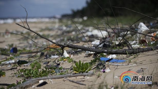 末尾有圖【瓊島動態】【即時快訊】海口後尾村海灘上有大量垃圾堆積 摘要:7月25日,記者來到了海南師範大學學生小文所説的海岸,眼前的場景讓人大吃一驚。 末尾有圖【瓊島動態】【即時快訊】海口後尾村海灘上有大量垃圾堆積 摘要:7月25日,記者來到了海南師範大學學生小文所説的海岸,眼前的場景讓人大吃一驚。