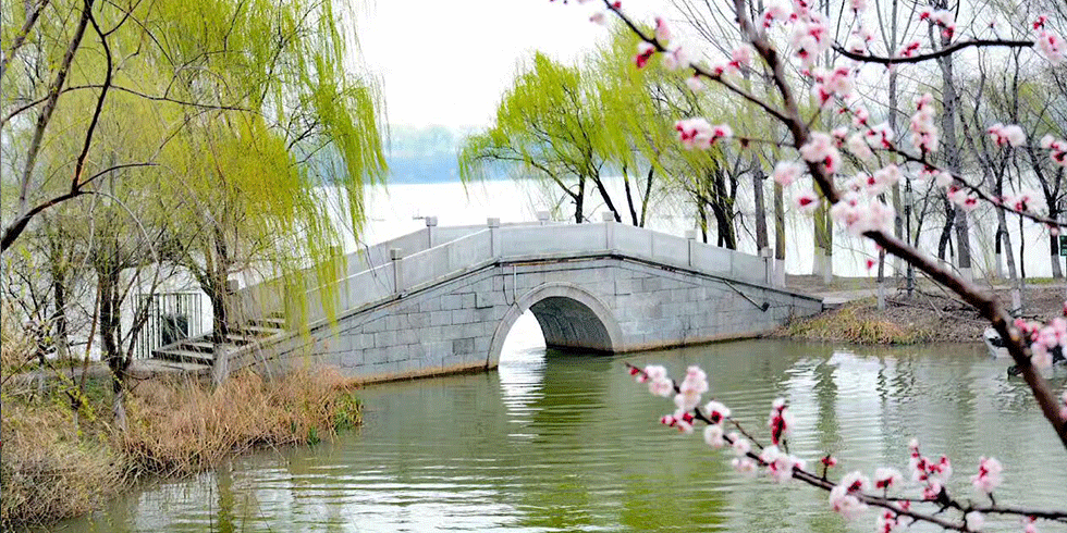 灞橋生態濕地公園