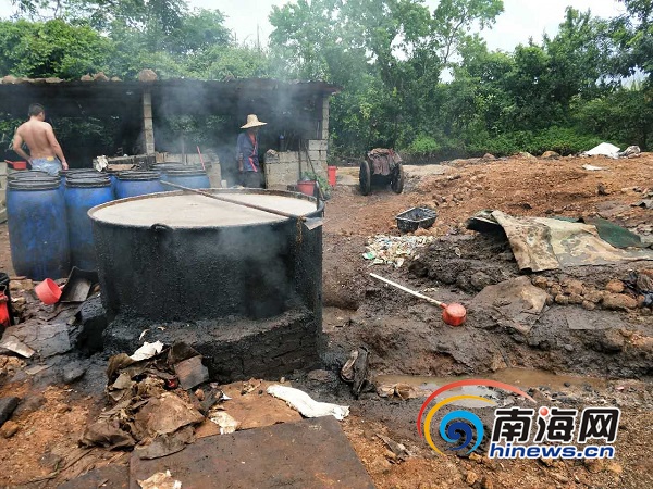 【瓊島動態】【即時快訊】海口非法地溝油加工點藏密林