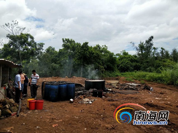 【瓊島動態】【即時快訊】海口非法地溝油加工點藏密林