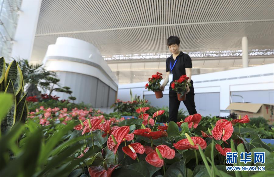 重庆机场东航站区及第三跑道通过验收