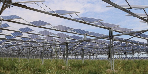 库布其的治沙之法_fororder_4