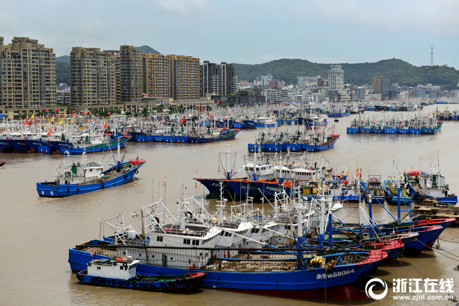 舟山：颱風來襲　漁船滿港