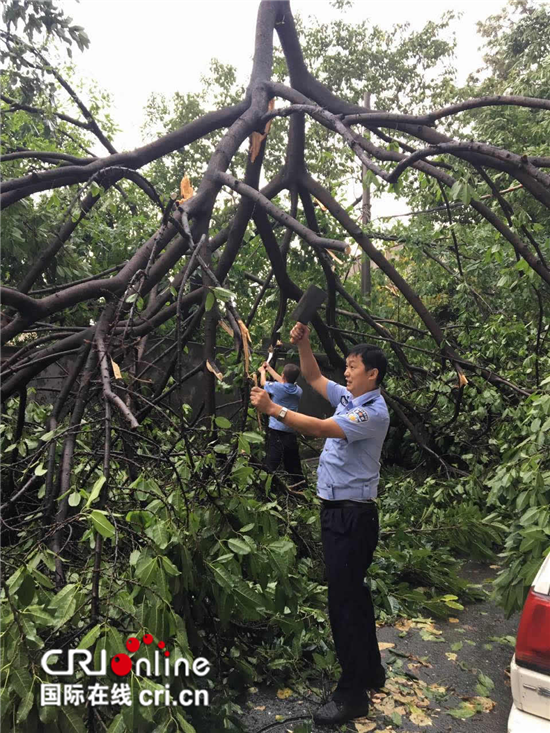 已过审【社会民生 列表】狂风暴雨来袭 重庆江北公安民警奋战一线