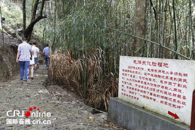 图片默认标题_fororder_2(15)_副本