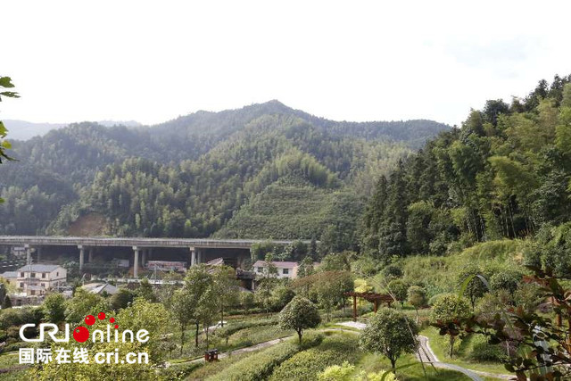 图片默认标题_fororder_6(6)_副本