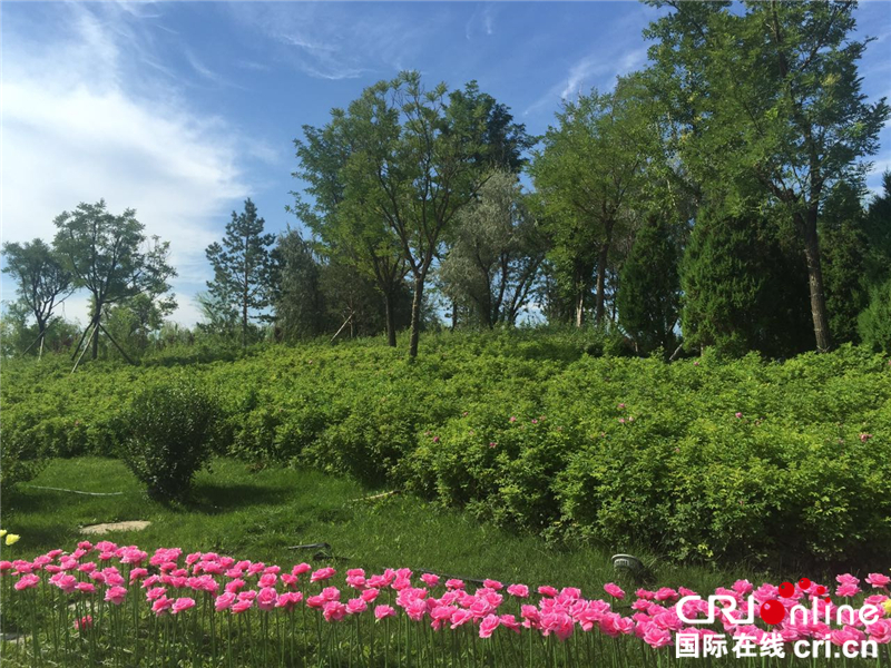 银川阅海湾中央商务区定位于成为国家中阿经贸合作示范园区,中阿