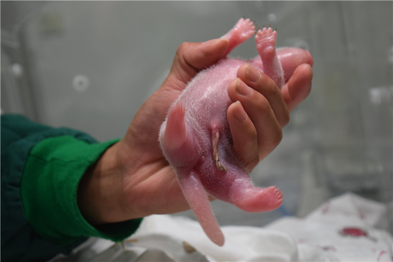 图片默认标题_fororder_1