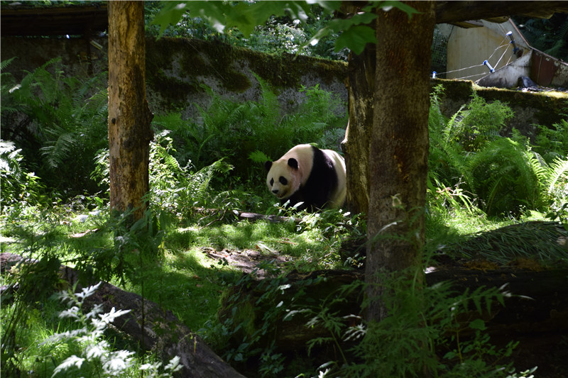 图片默认标题_fororder_2